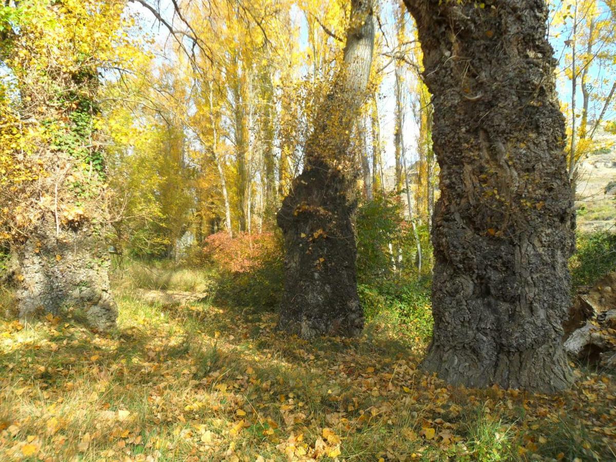 La Posada Del Arba El Frago ภายนอก รูปภาพ
